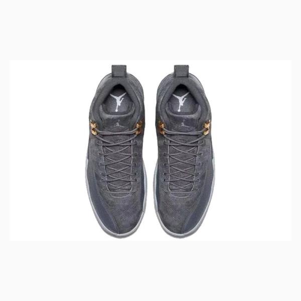 Nike Retro Basketbol Ayakkabısı Air Jordan 12 Erkek Koyu Gri | JD-843YP