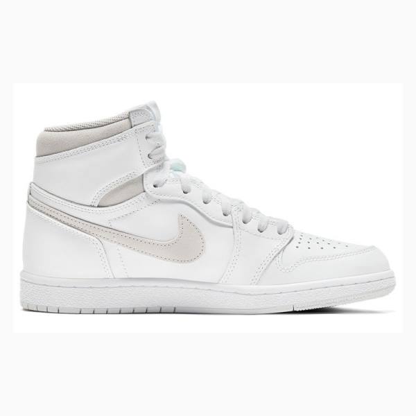 Nike Retro High '85 OG Basketbol Ayakkabısı Air Jordan 1 Erkek Gri | JD-163MS